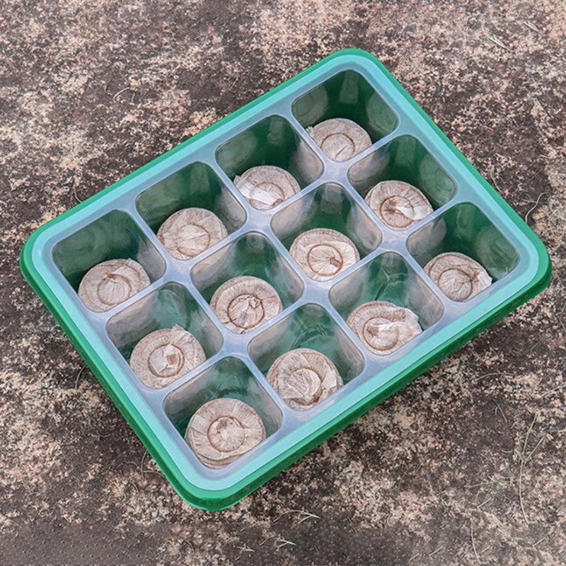 Propagation Tray Dome - Hot Sale 6/12 Holes Seed Starter