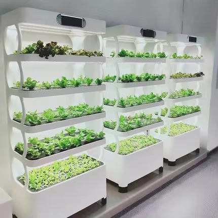 Mini Hydroponic Growing System - Greenhouse Mini Indoor 评论和价格