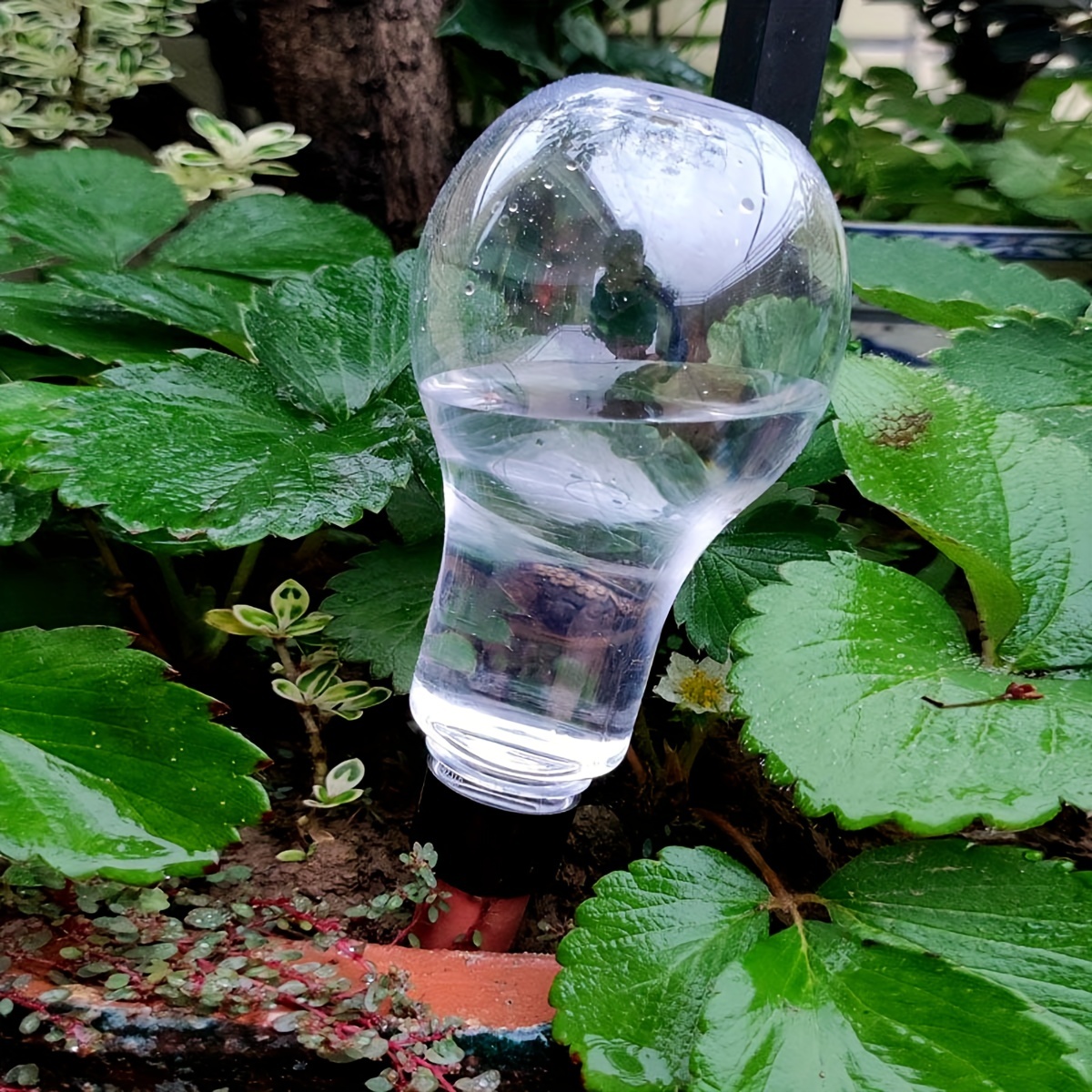 Garden Automatic Watering Tool - Gardening Tools Diy 评论和价格