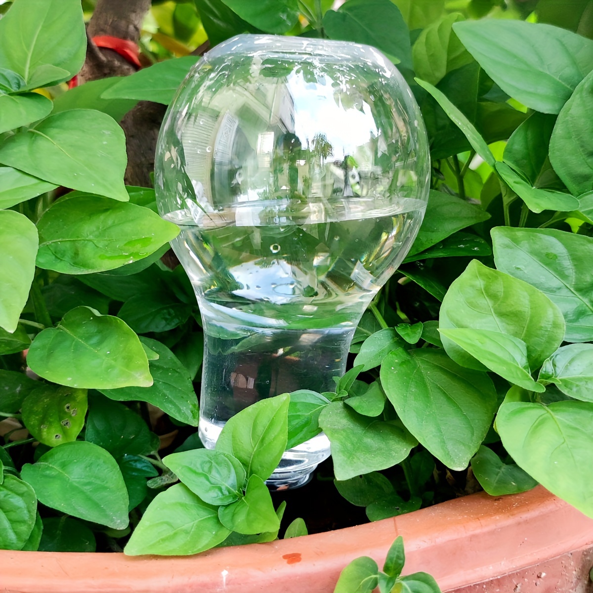 Garden Automatic Watering Tool - Gardening Tools Diy 评论和价格