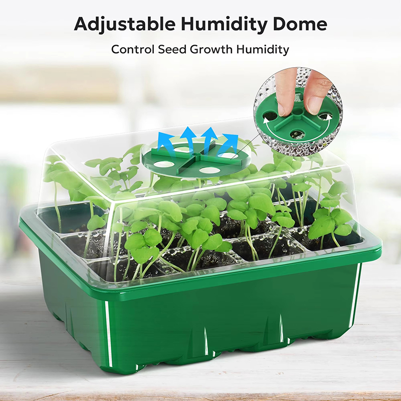 12Grids Seedling Trays Seed St - Propagation Tray Dome 评论和价格