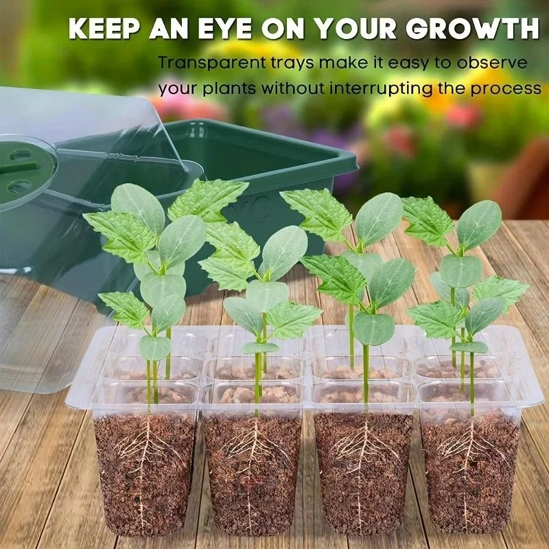 12Grids Seedling Trays Seed St - Propagation Tray Dome 评论和价格