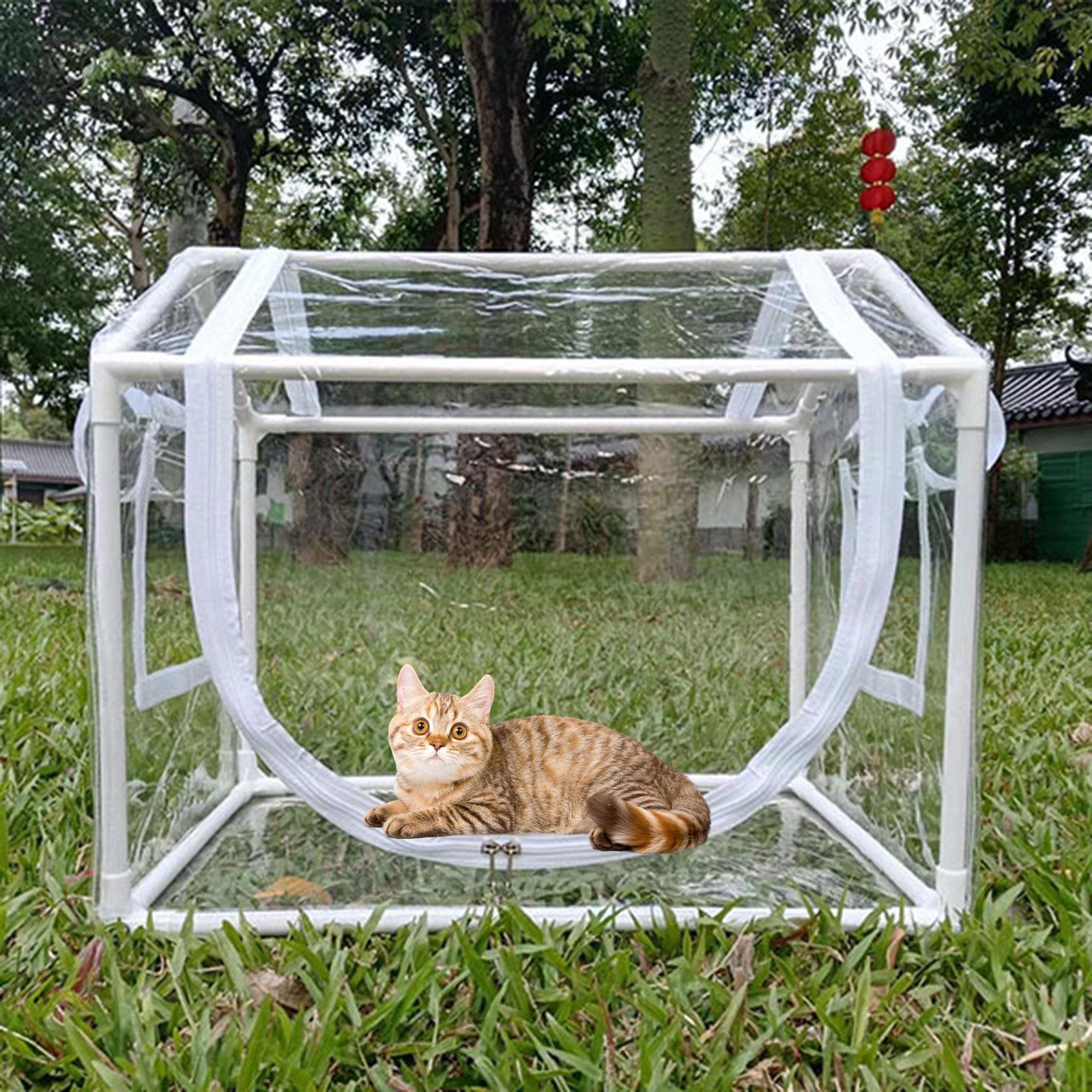 Small PVC Mini Greenhouse Cold - Greenhouse Mini Indoor 评论和价格