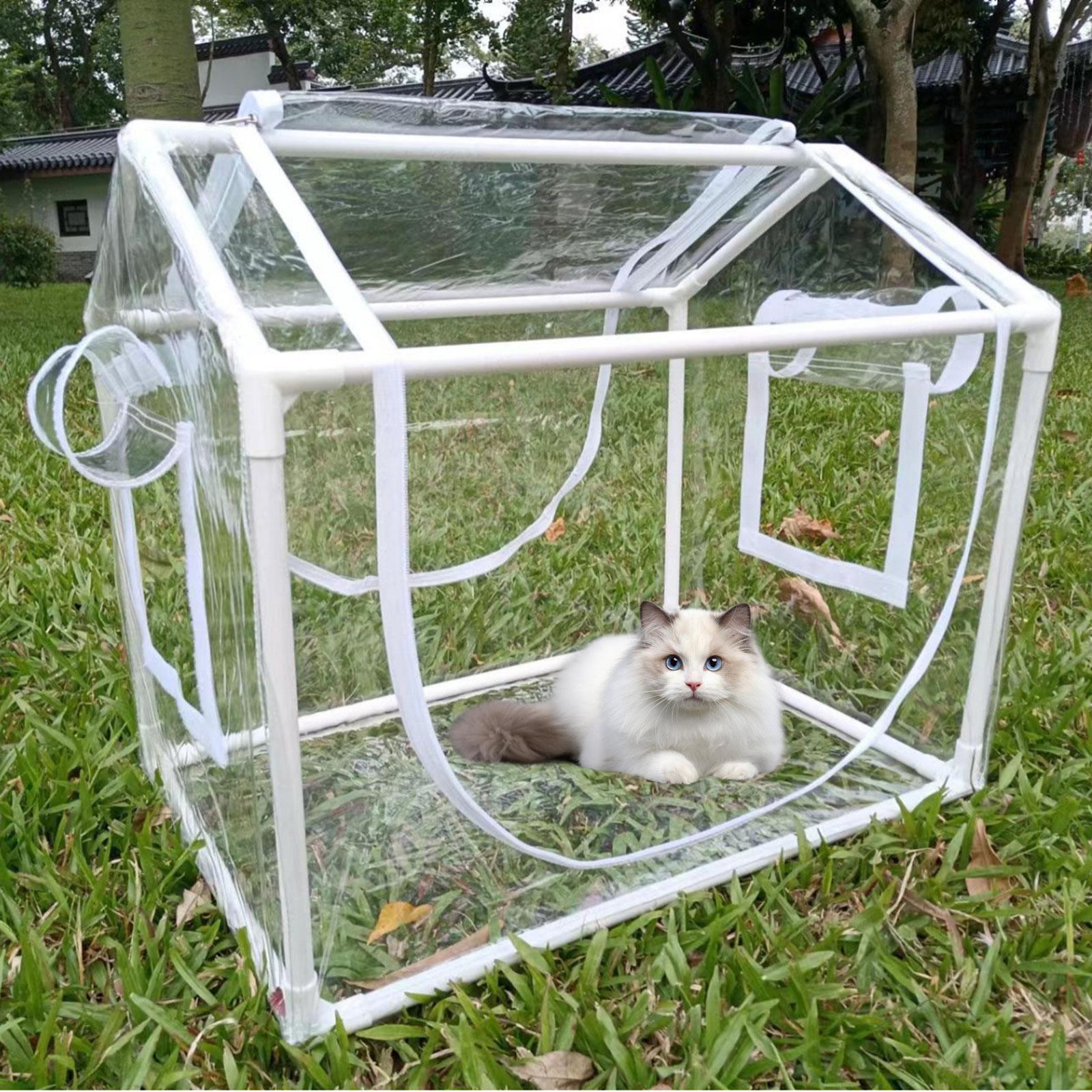Small PVC Mini Greenhouse Cold - Greenhouse Mini Indoor 评论和价格