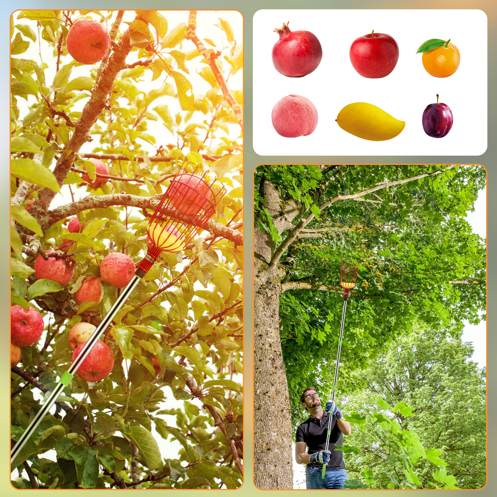 Deep Basket Fruit Picker Catch - Gardening Tools For Women 评论和价格