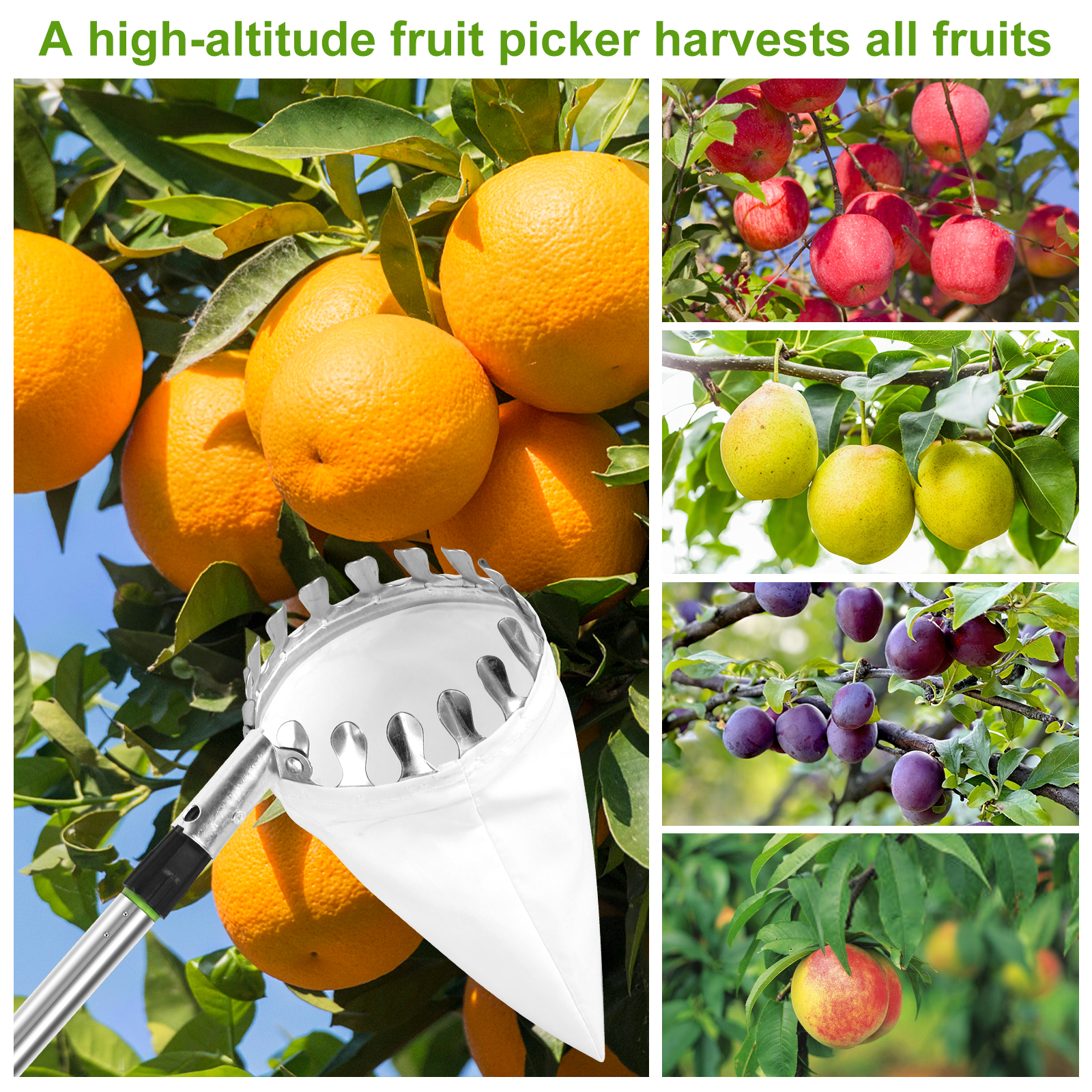 Deep Basket Fruit Picker Catch - Gardening Tools For Women 评论和价格