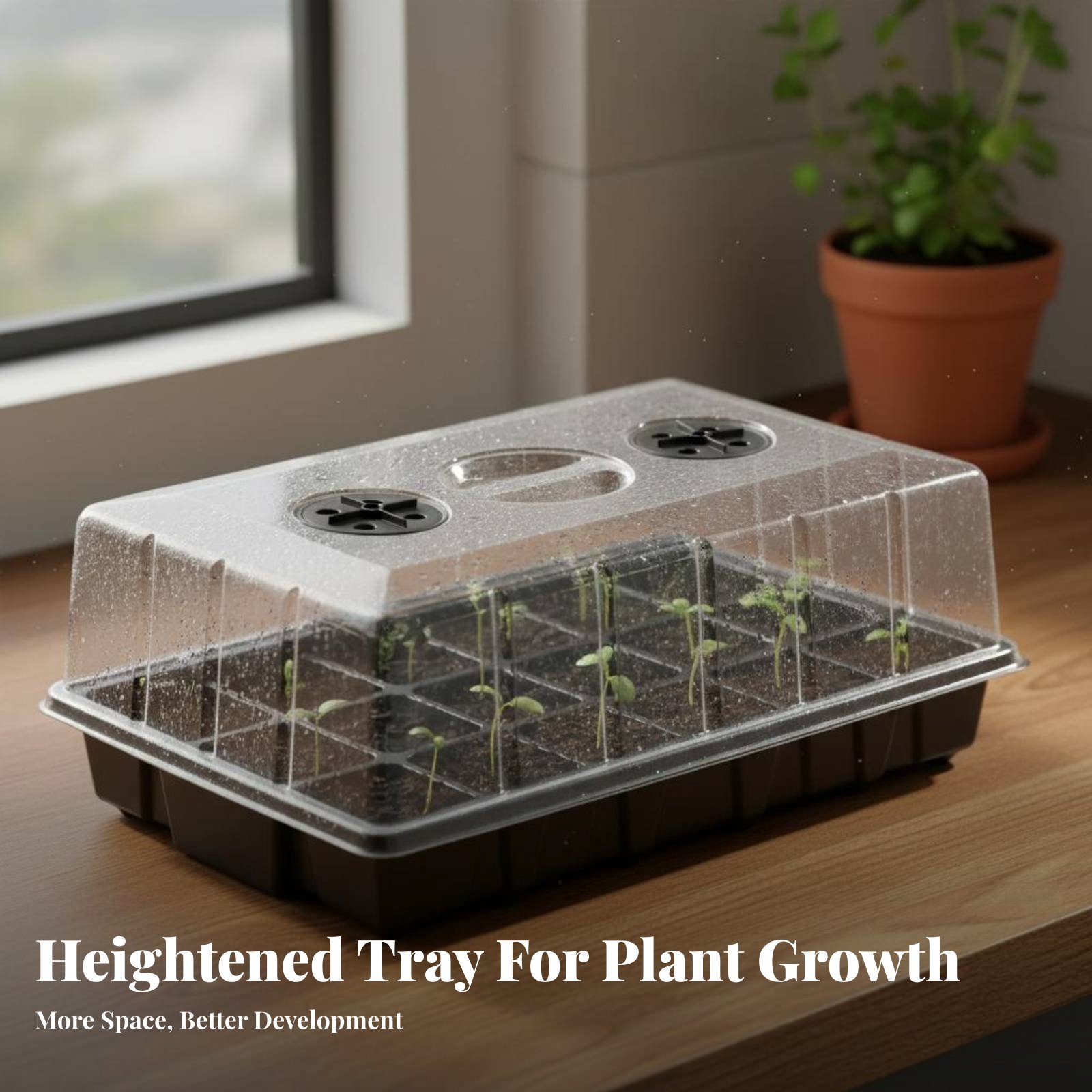 24 Compartment Nursery Tray Tr - Propagation Tray Dome 评论和价格