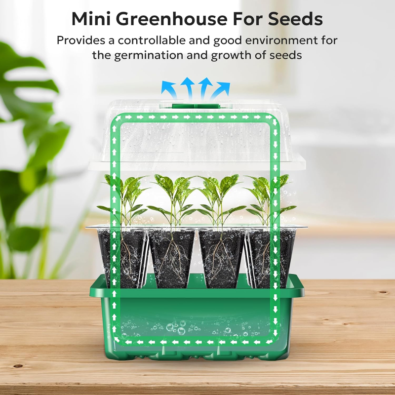10PCS Seedling Trays Seed Star - Propagation Tray Dome 评论和价格