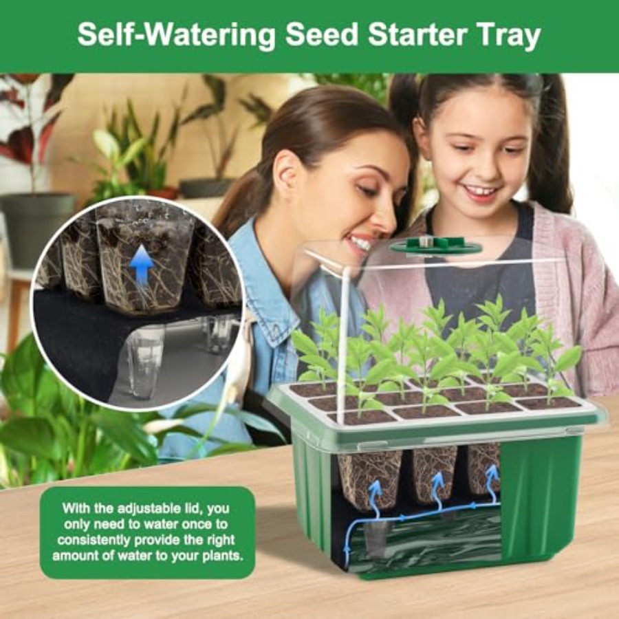 Seed Starter Tray with Light 6 - Greenhouse Mini Indoor 评论和价格