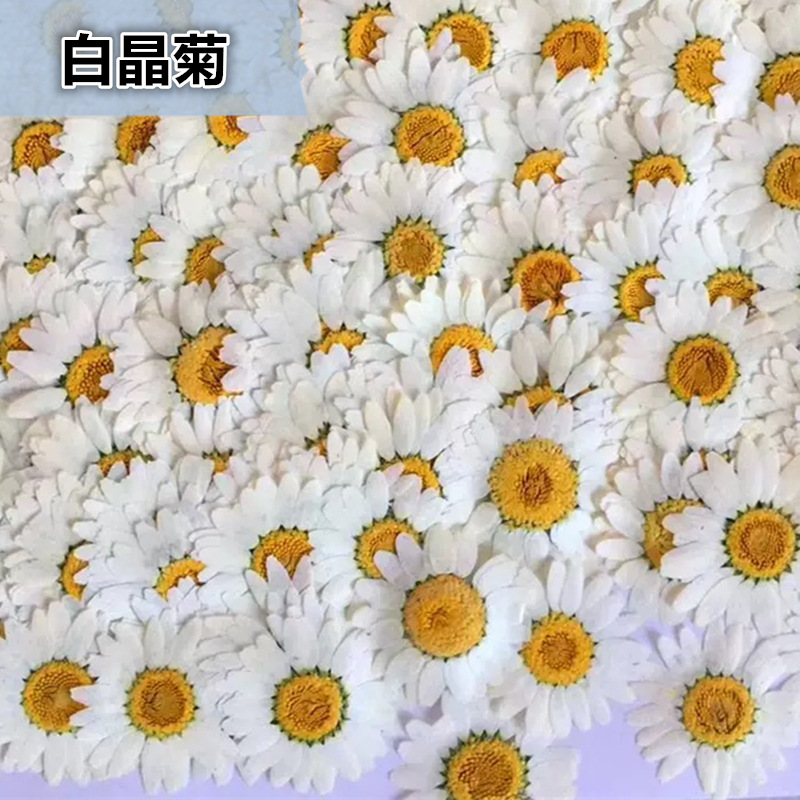 100Pcs Natural White Crystal C - Gardening Tools Diy 评论和价格