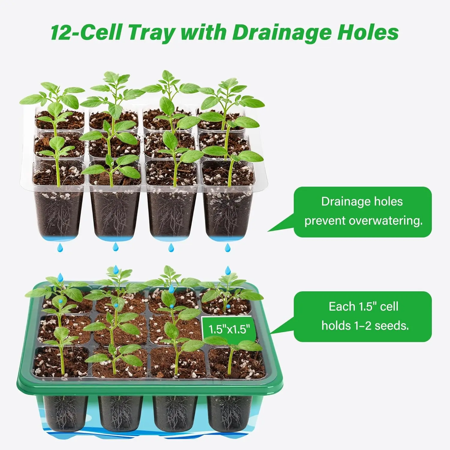 6/12 Grids Growing Starting Nu - Propagation Tray Dome 评论和价格