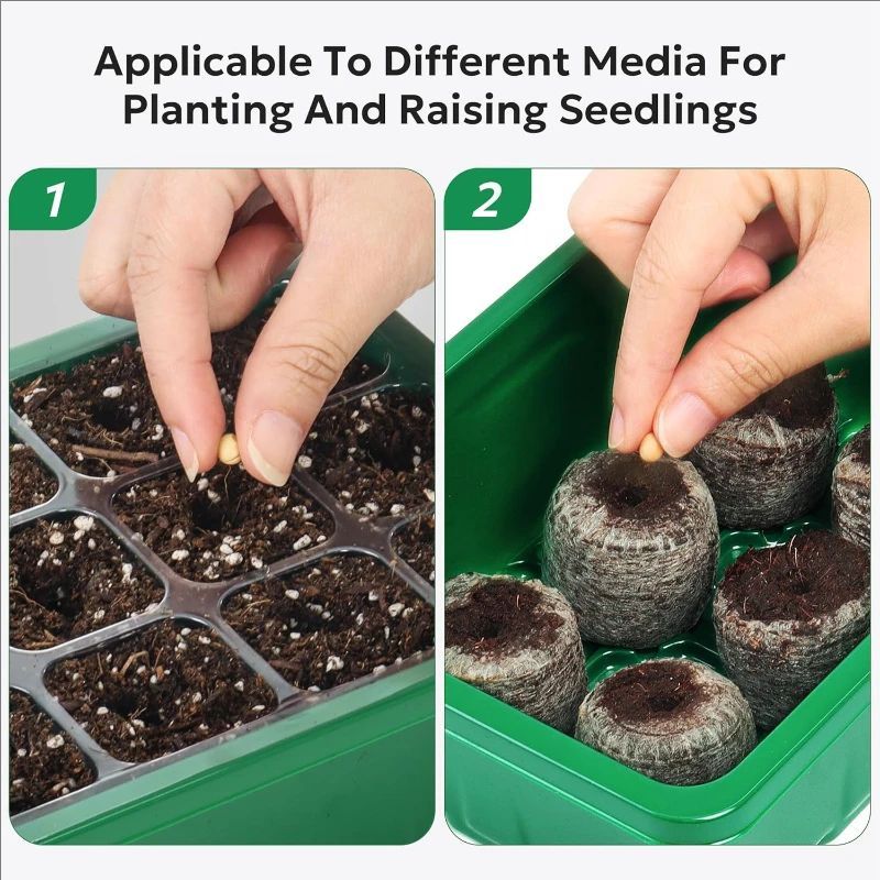 10pcs/5pcs Seedling Trays Seed - Propagation Tray Dome 评论和价格