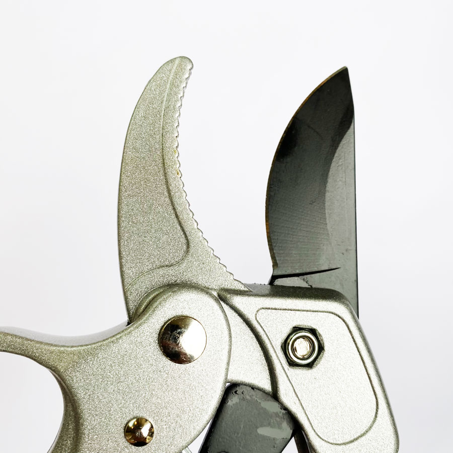 Professional Ratchet Pruning S - Pruning Shears 评论和价格