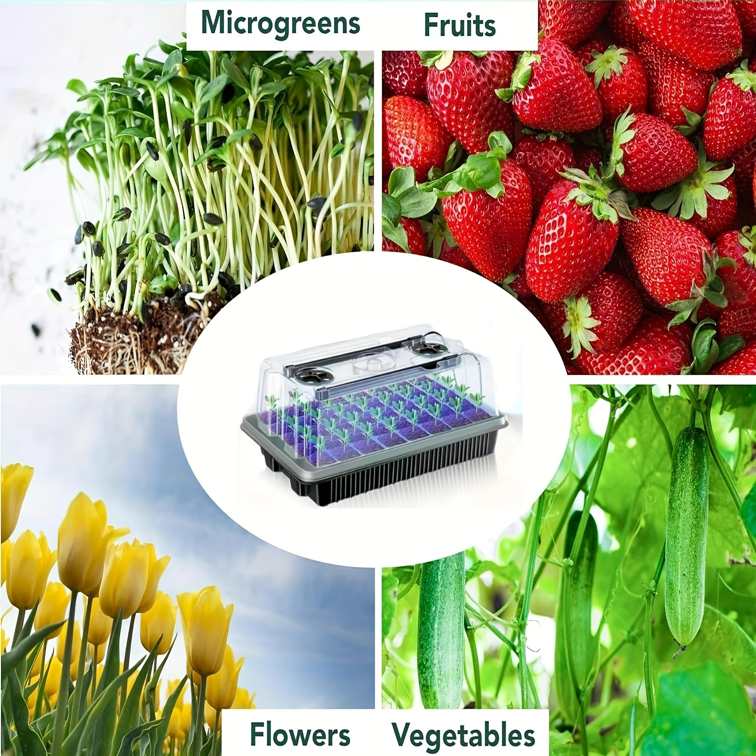 40/Cell Seed Starter Kit with  - Propagation Tray Dome 评论和价格