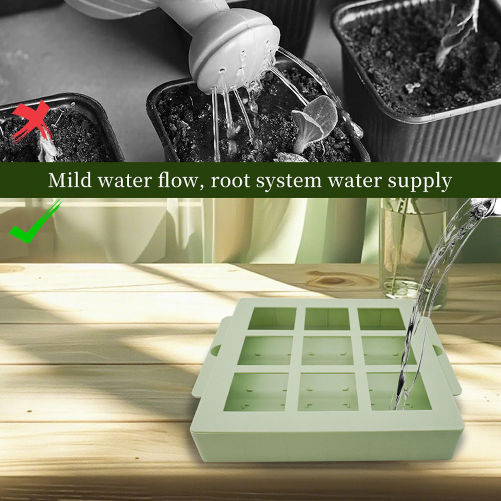 Plant Starter Tray Reusable Mi - Propagation Tray Dome 评论和价格