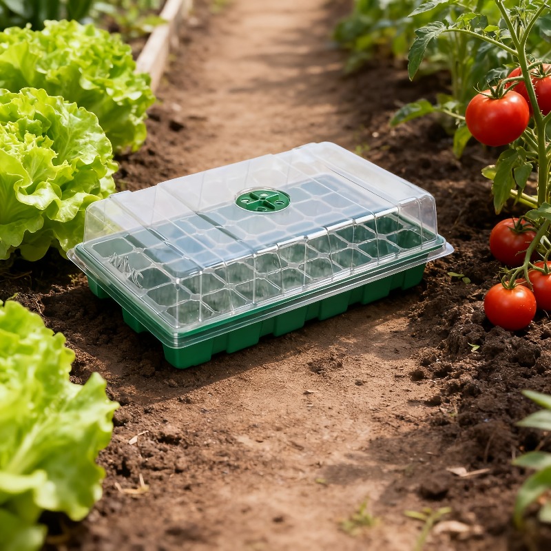 1/5-Piece Seedling Tray Kit -  - Propagation Tray Dome 评论和价格