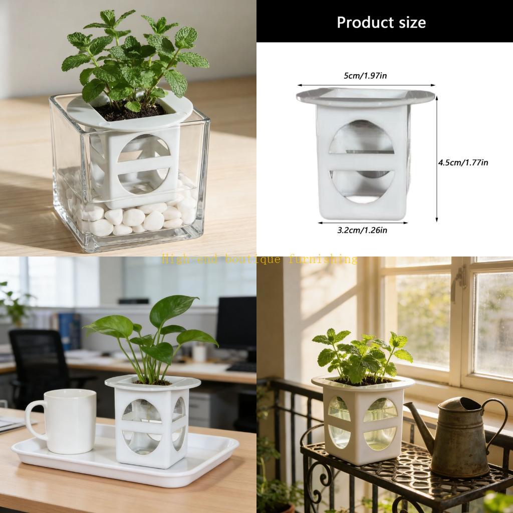 L9NB 12lots Professional Seedl - Propagation Tray Dome 评论和价格