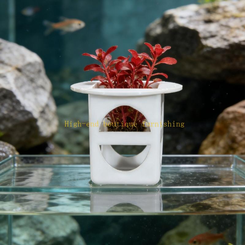 L9NB 12lots Professional Seedl - Propagation Tray Dome 评论和价格