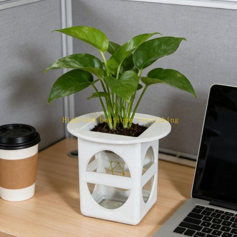 L9NB 12lots Professional Seedl - Propagation Tray Dome 评论和价格
