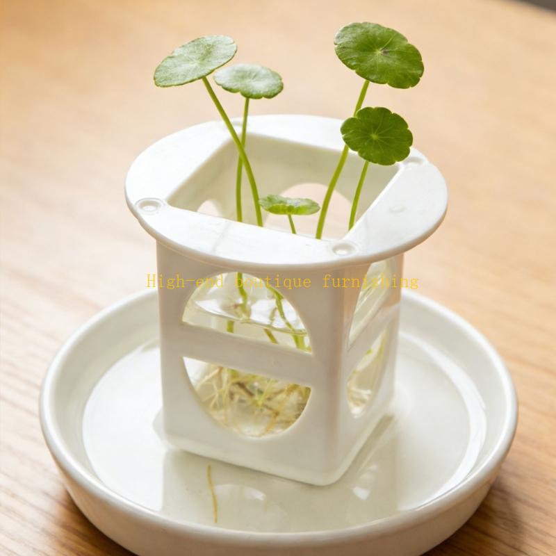 L9NB 12lots Professional Seedl - Propagation Tray Dome 评论和价格