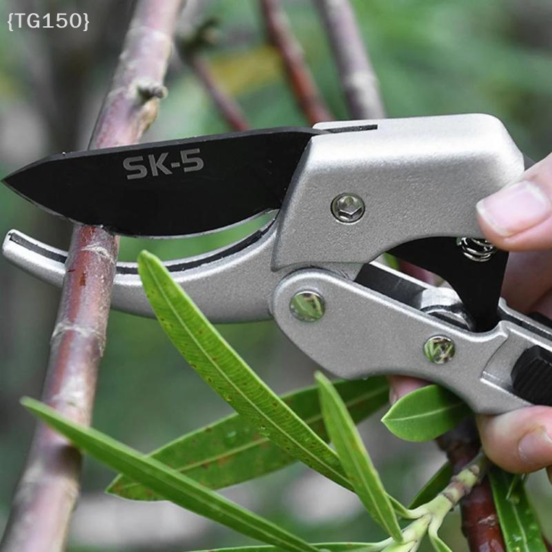 Horticultural Scissors Bird Be - Pruning Shears 评论和价格