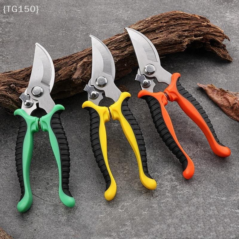 Horticultural Scissors Bird Be - Pruning Shears 评论和价格