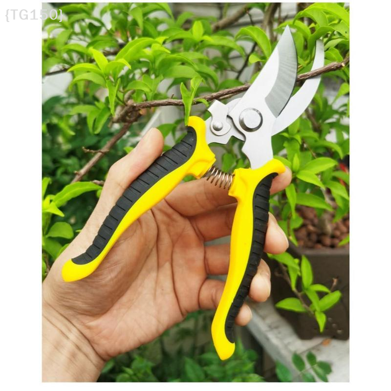 Horticultural Scissors Bird Be - Pruning Shears 评论和价格