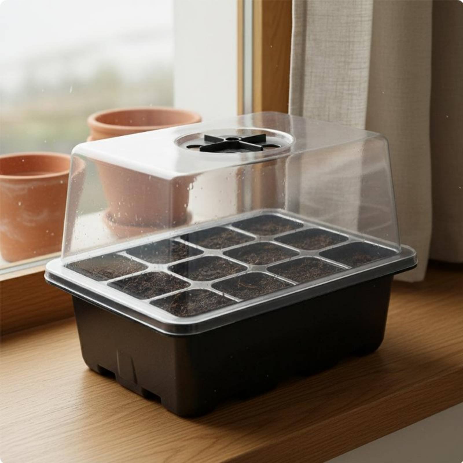 12 Compartment Seed Starting T - Propagation Tray Dome 评论和价格