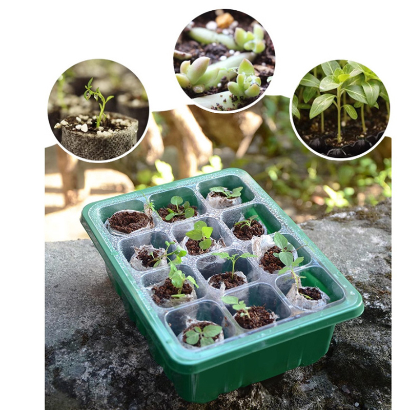 6/12 Holes Seed Starter Tray W - Propagation Tray Dome 评论和价格