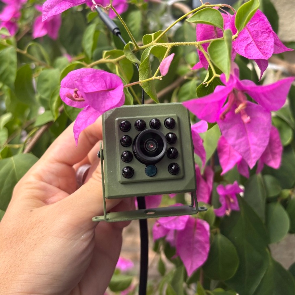 Icsee Imx415 4K 8MP CCTV Green - Greenhouse Mini Indoor 评论和价格