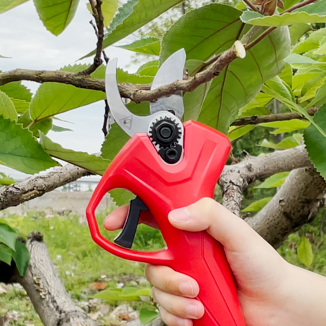 Pruner Scissors Brushless Prun - Pruning Shears 评论和价格