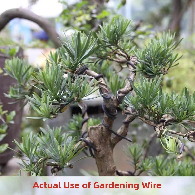 1.5MM Bonsai Wires Aluminum Bo - Gardening Tools Diy 评论和价格