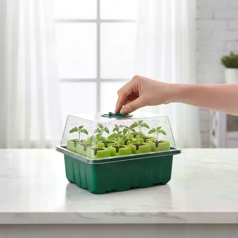 Seed Starter Tray With Humidit - Propagation Tray Dome 评论和价格