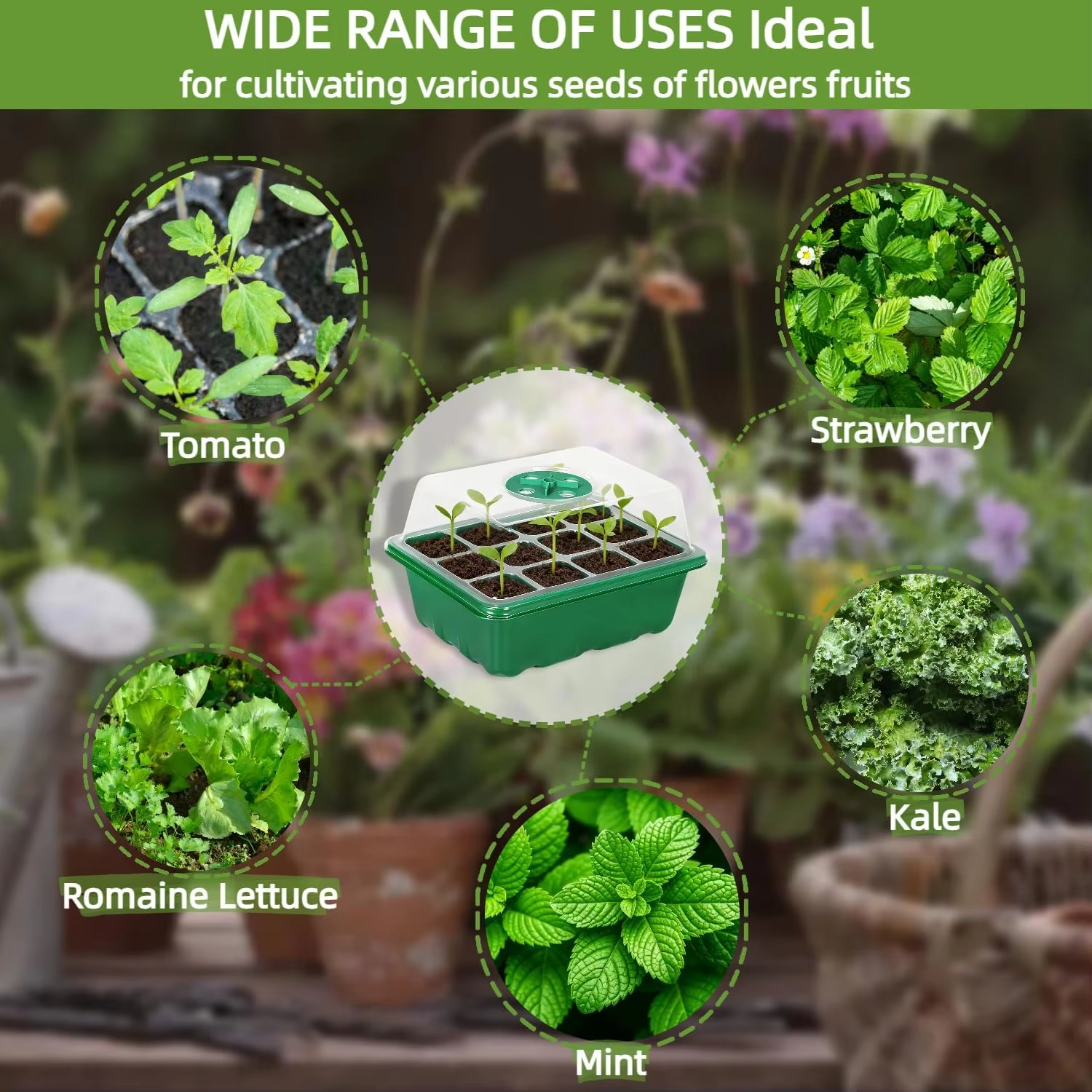 3Pcs Seed Starter Tray Mini Gr - Propagation Tray Dome 评论和价格