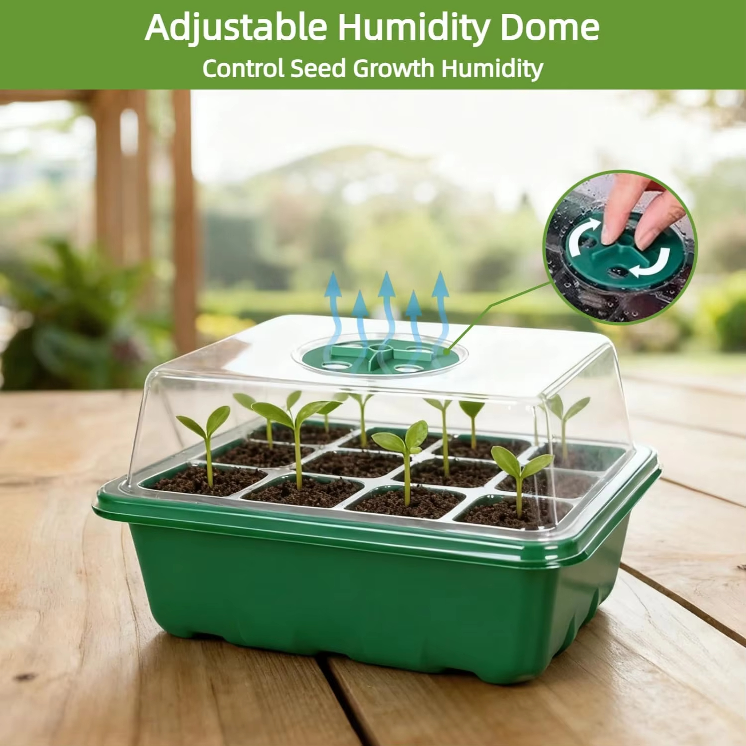 3Pcs Seed Starter Tray Mini Gr - Propagation Tray Dome 评论和价格