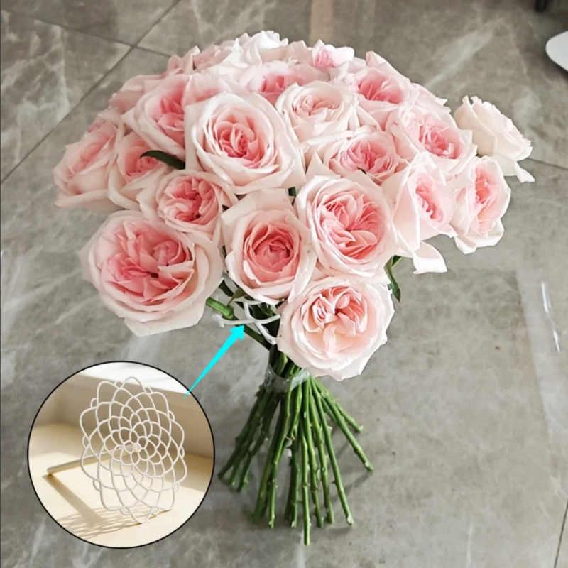 Spiral Ikebana Stem Holder Vas - Gardening Tools Diy 评论和价格