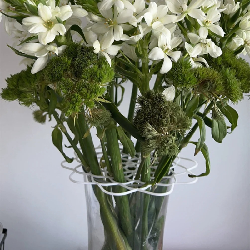 Spiral Ikebana Stem Holder Vas - Gardening Tools Diy 评论和价格