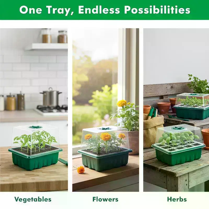 1Set Seed Starter Tray Mini Gr - Propagation Tray Dome 评论和价格