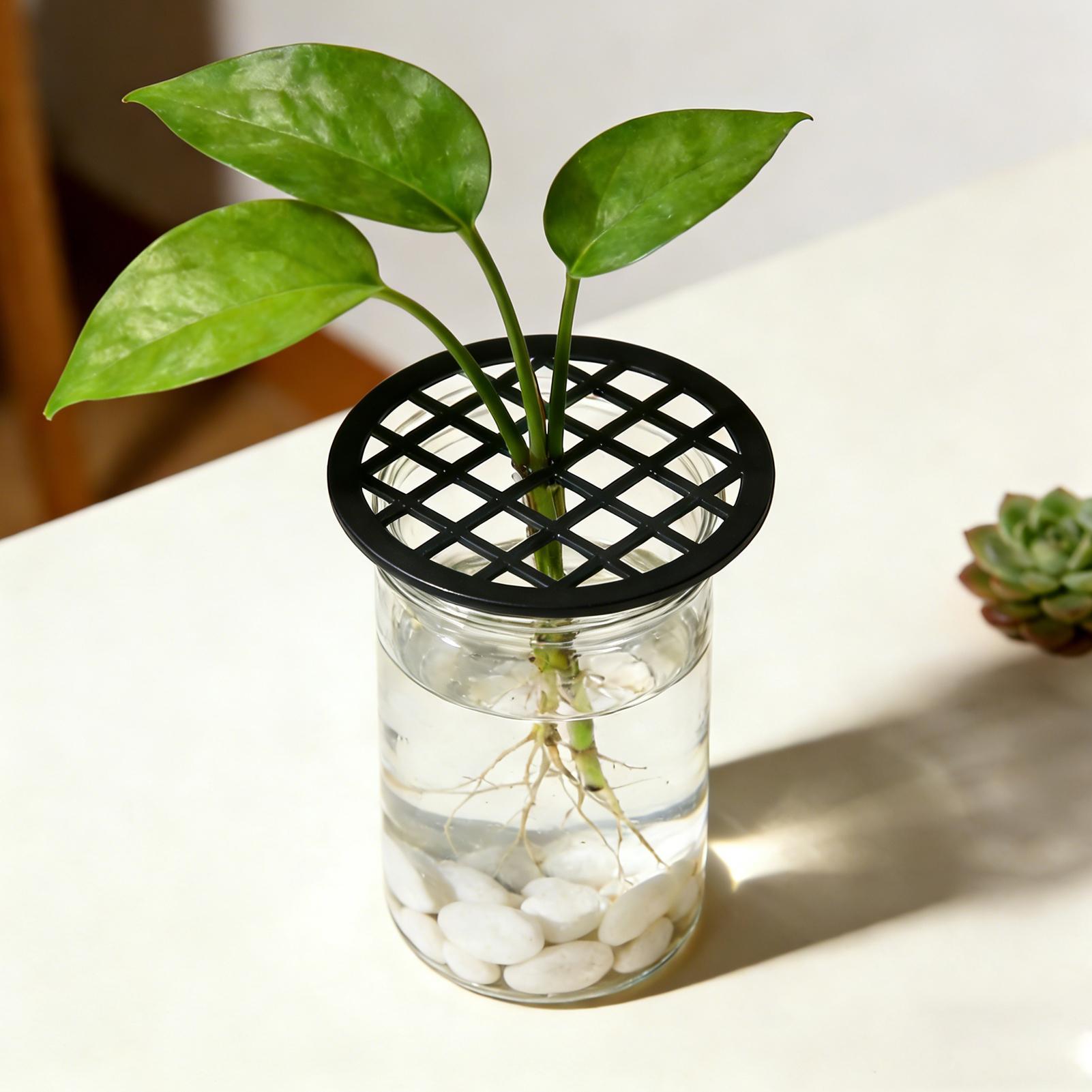 Plant Branch Support 4Pcs Gree - Propagation Tray Dome 评论和价格